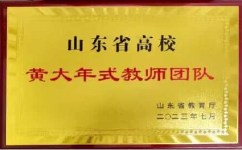 山东省高校---黄大年式教师团队